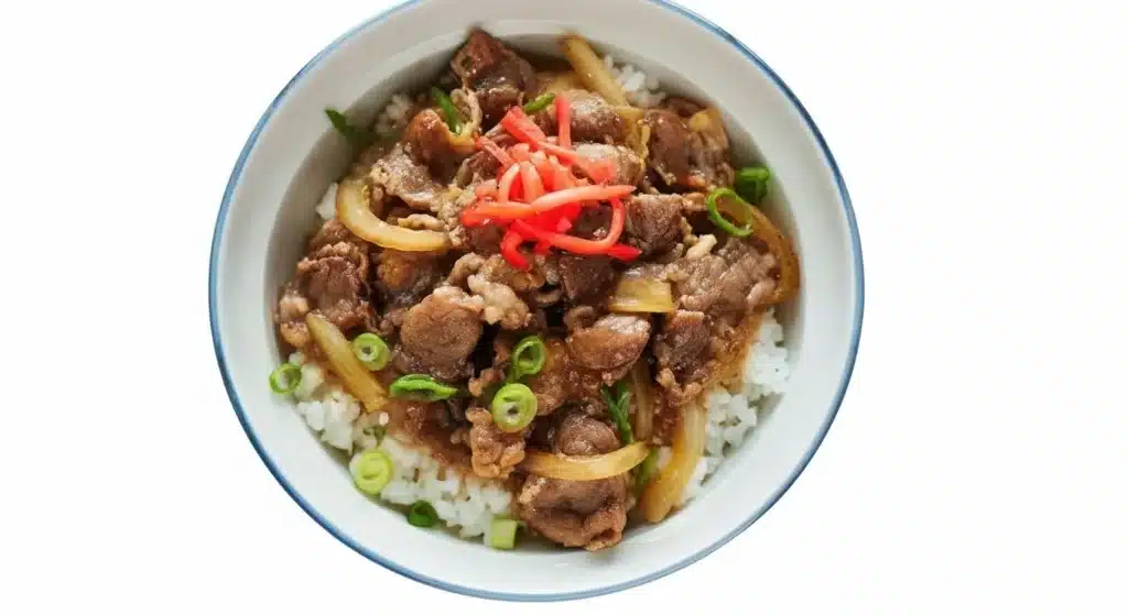 A bowl of Gyudon topped with thin beef slices, onions, and rice